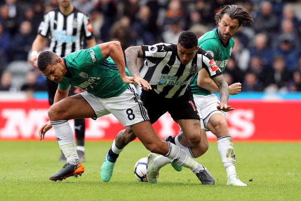 岁老将的坚 岁老将的坚