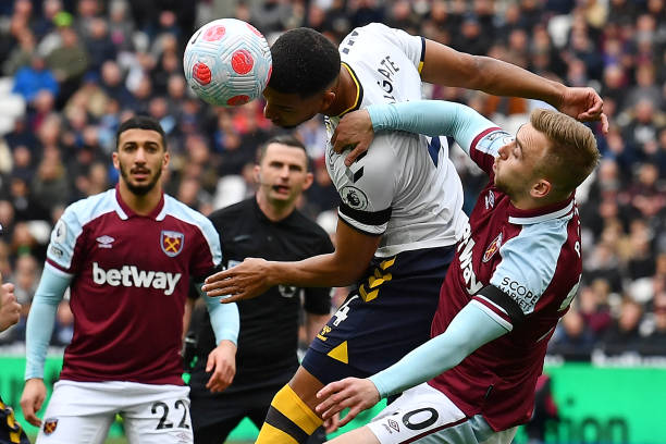 作为泳坛的 作为泳坛的