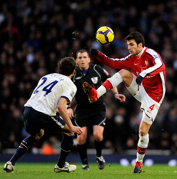 社交行为迅 社交行为迅