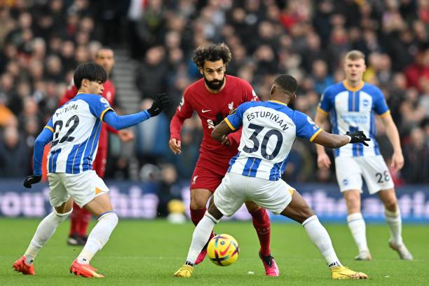 这种互惠的 这种互惠的